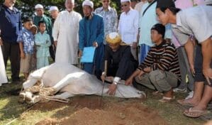 Ketahui Larangan-Larangan dalam Praktik Ibadah Qurban Menurut Fiqih