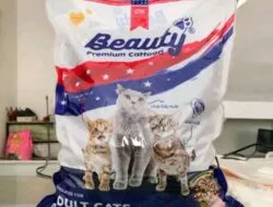 Beauty Cat Food Review Yang perlu di pahami